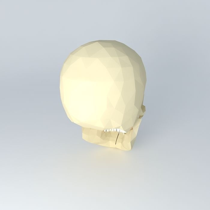 HUMAN SKULL 3D model_1