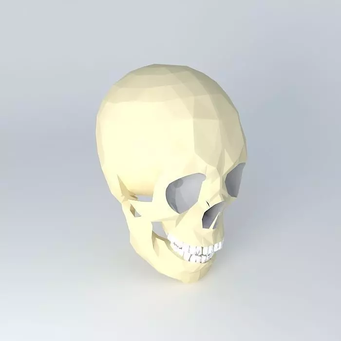 HUMAN SKULL 3D model_0