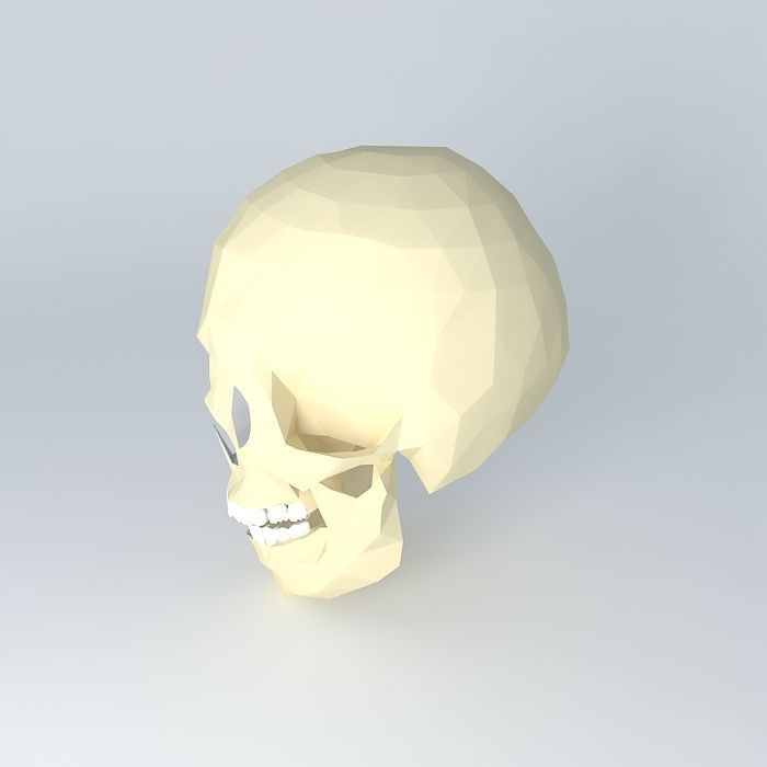 HUMAN SKULL 3D model_2