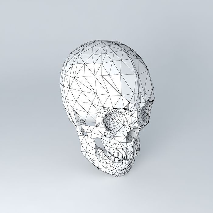 HUMAN SKULL 3D model_3