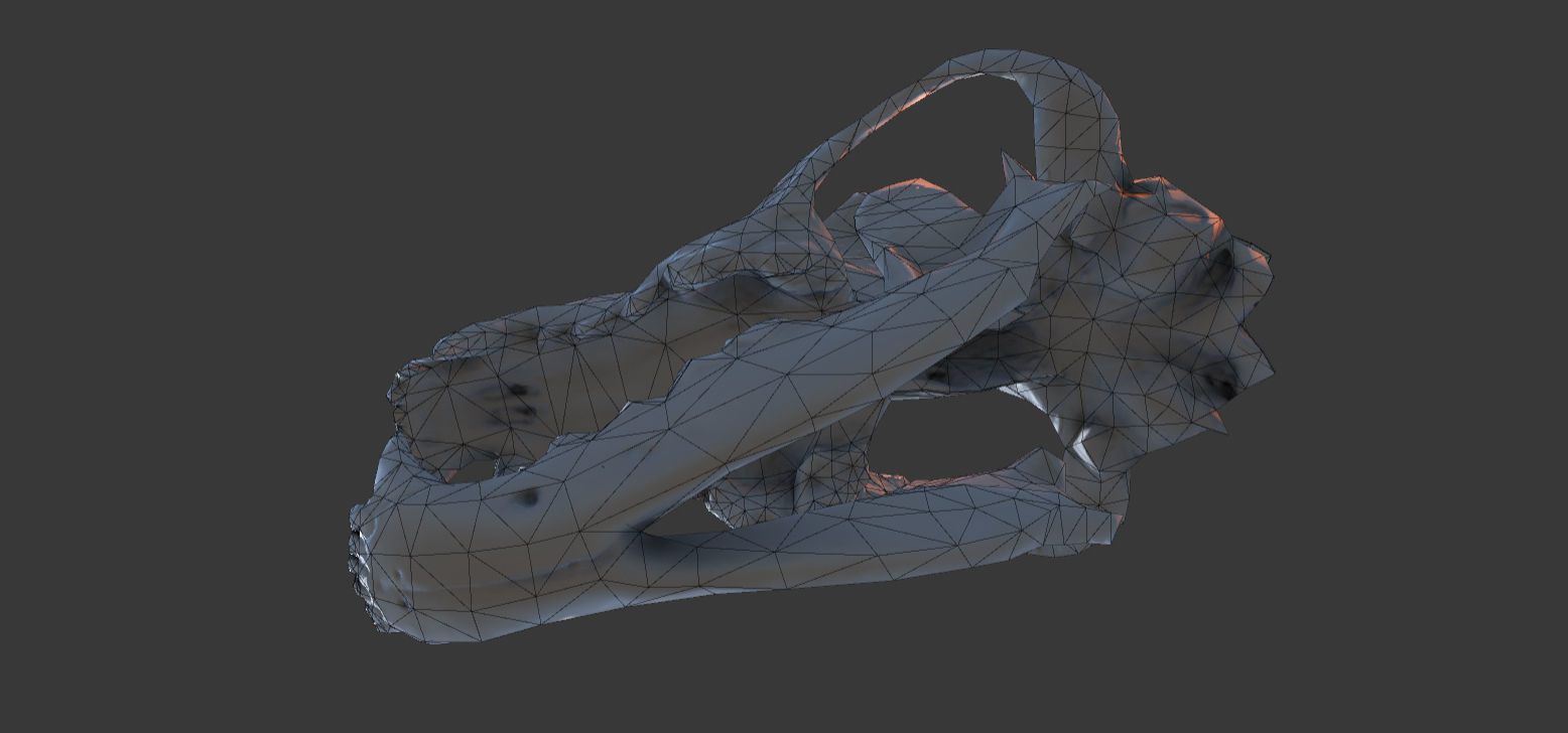 Wolf Skull Low-poly 3D model_10