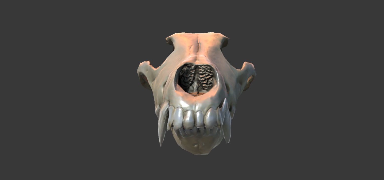 Wolf Skull Low-poly 3D model_14
