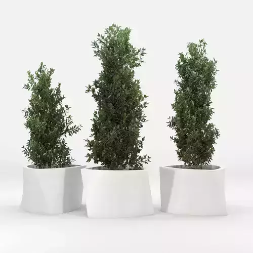 BILBAO three planters