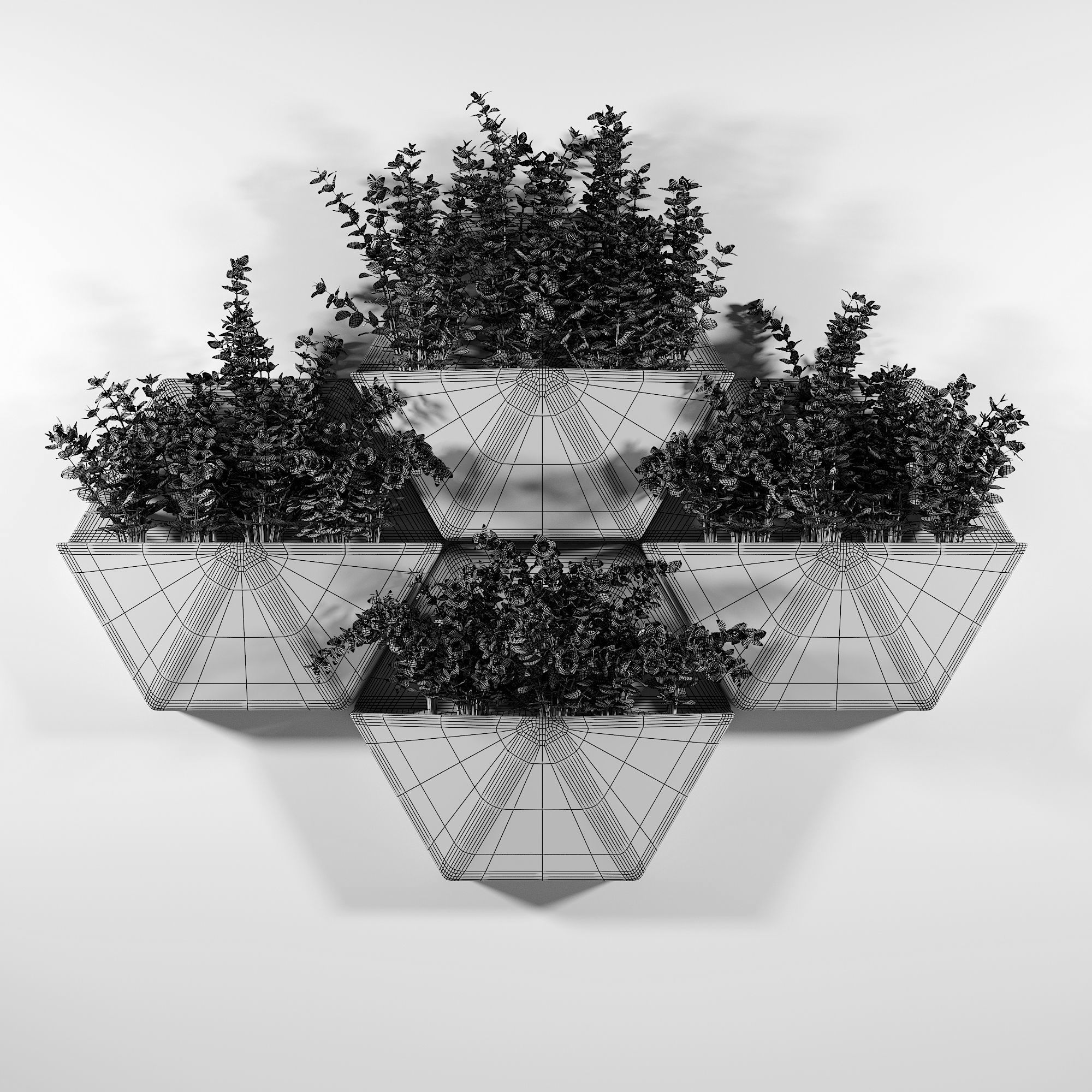 Hexagon Wall Planter 3D model_5