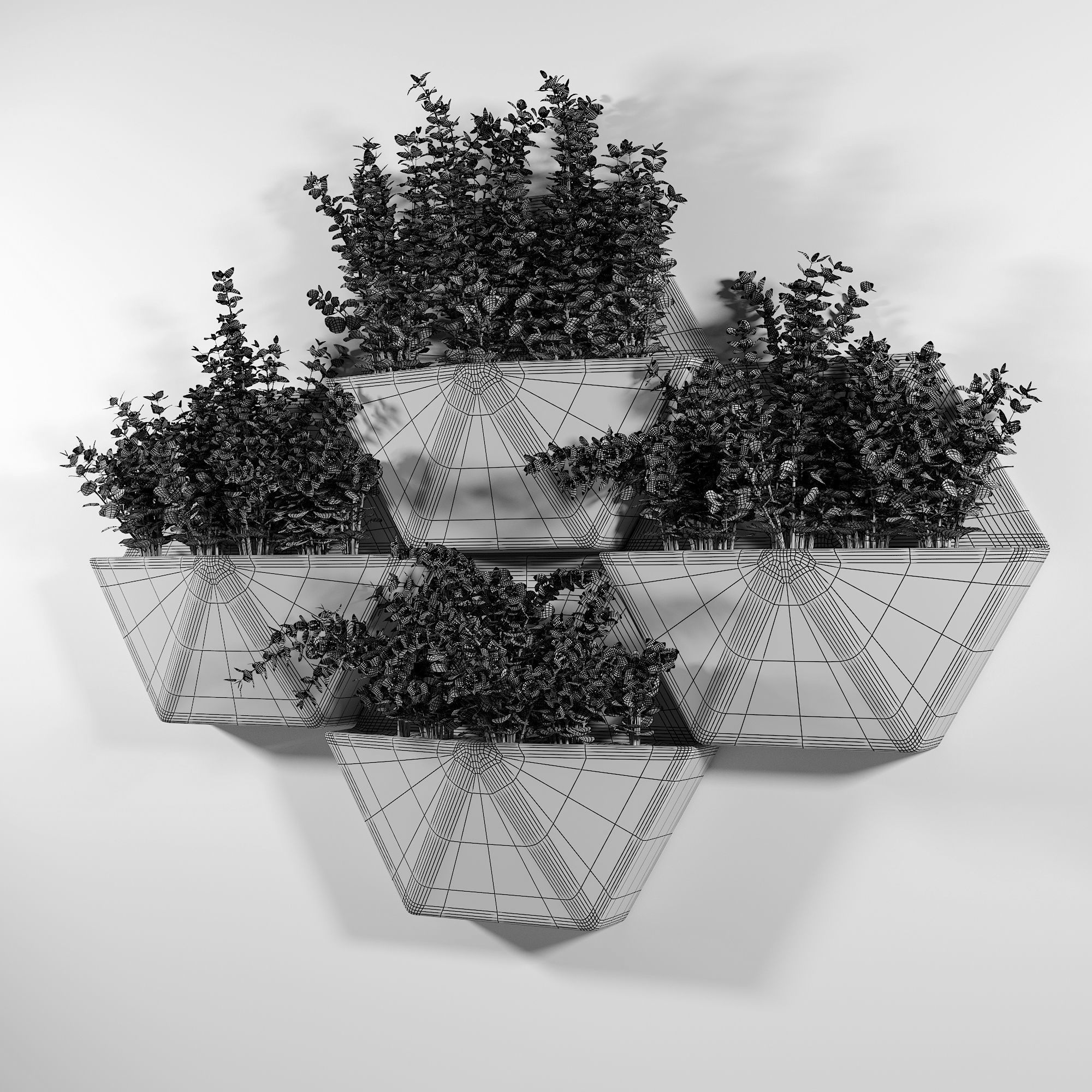 Hexagon Wall Planter 3D model_4