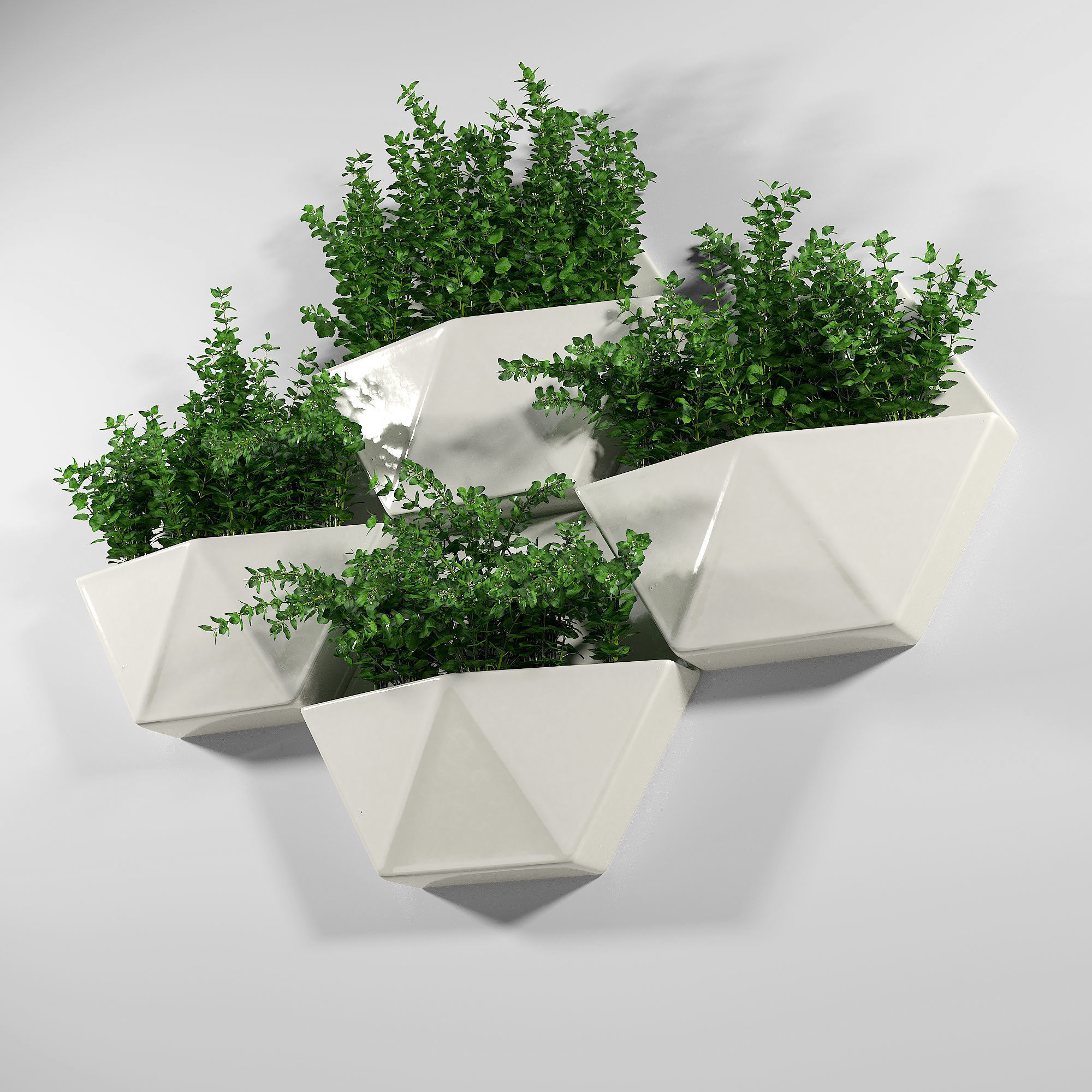 Hexagon Wall Planter 3D model_3