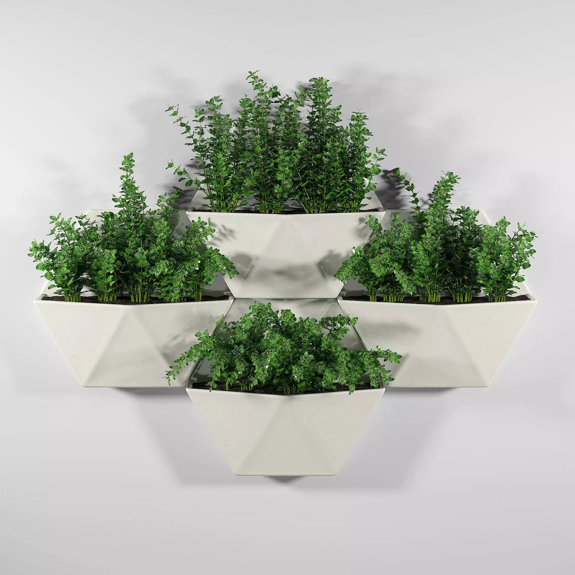 Hexagon Wall Planter 3D model_0