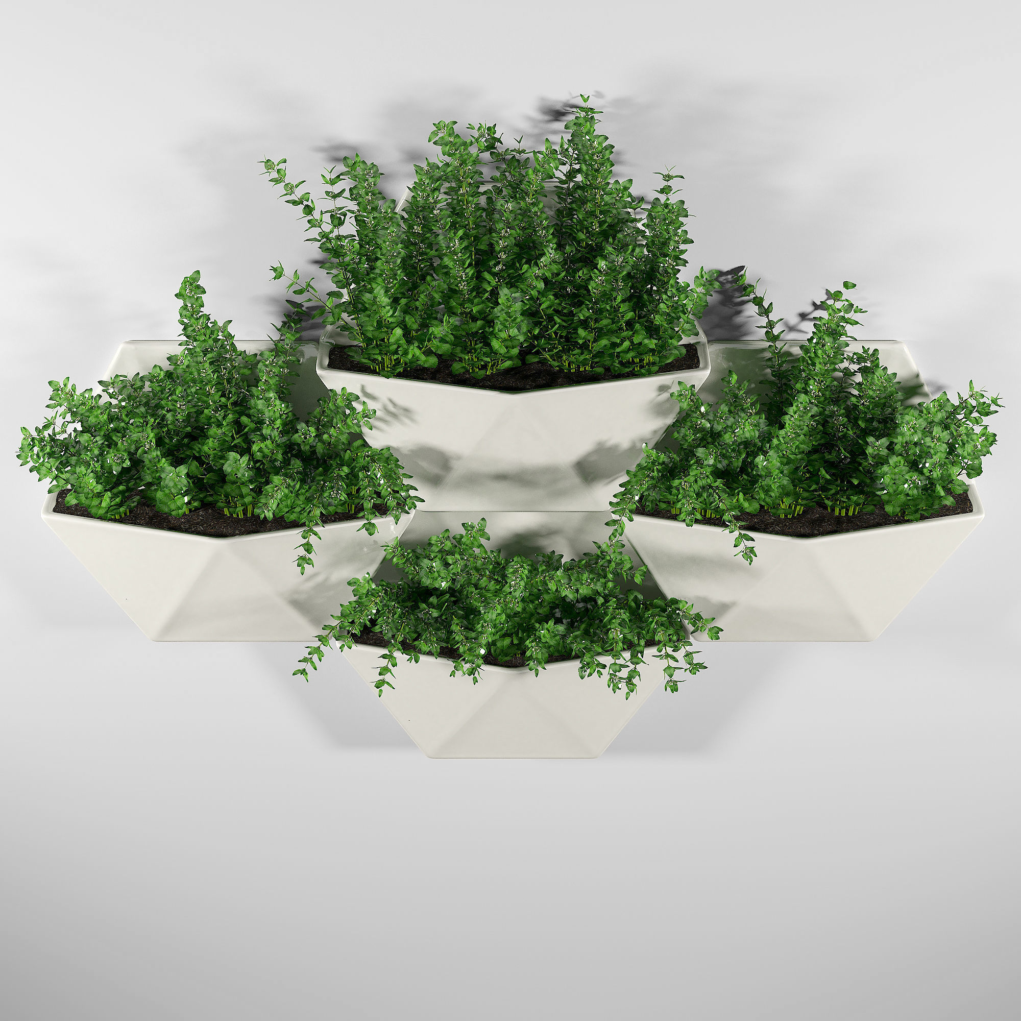 Hexagon Wall Planter 3D model_2