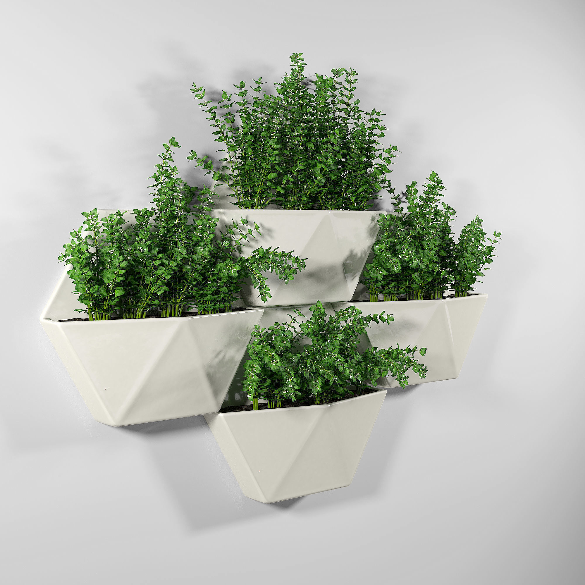 Hexagon Wall Planter 3D model_1