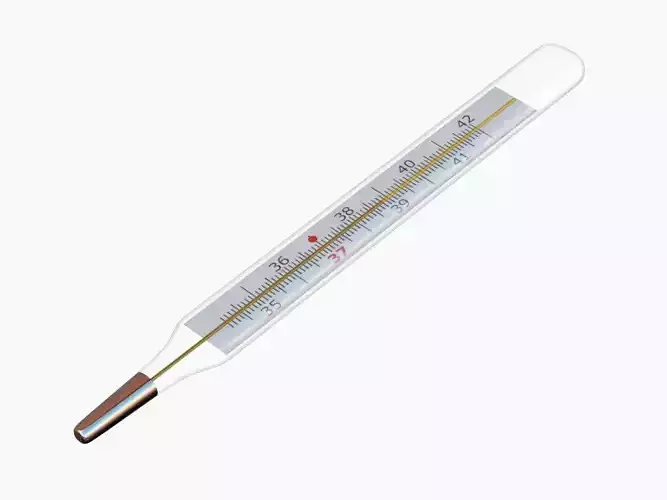 Mercury thermometer