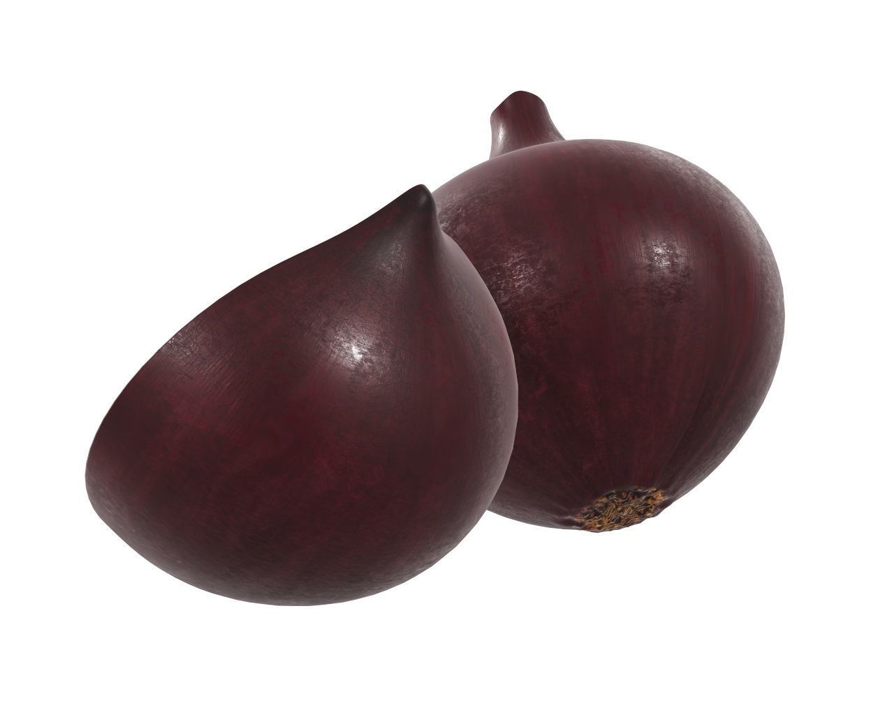 Onion 3D model_3