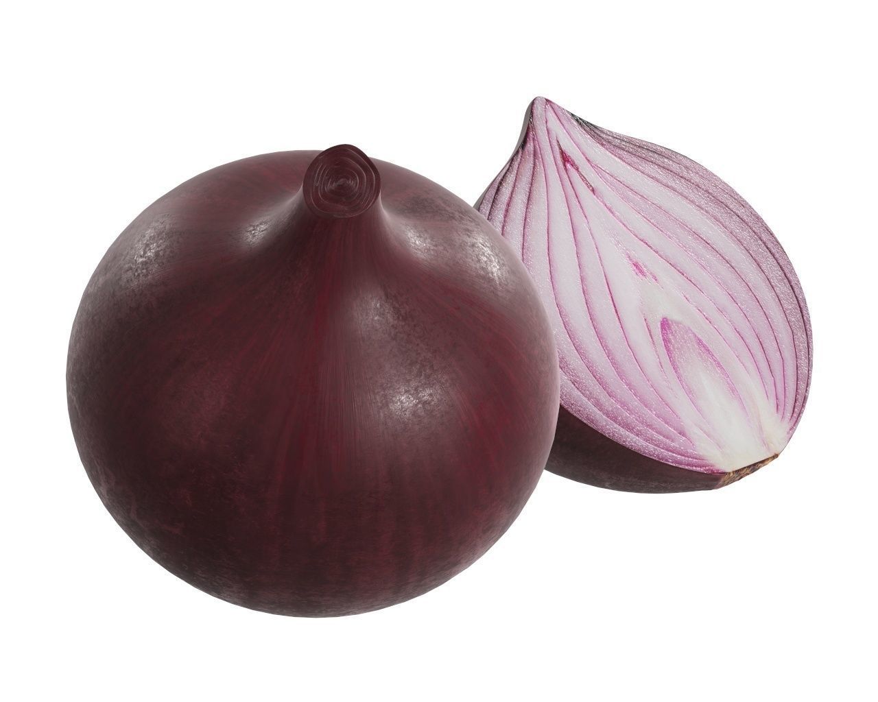 Onion 3D model_5