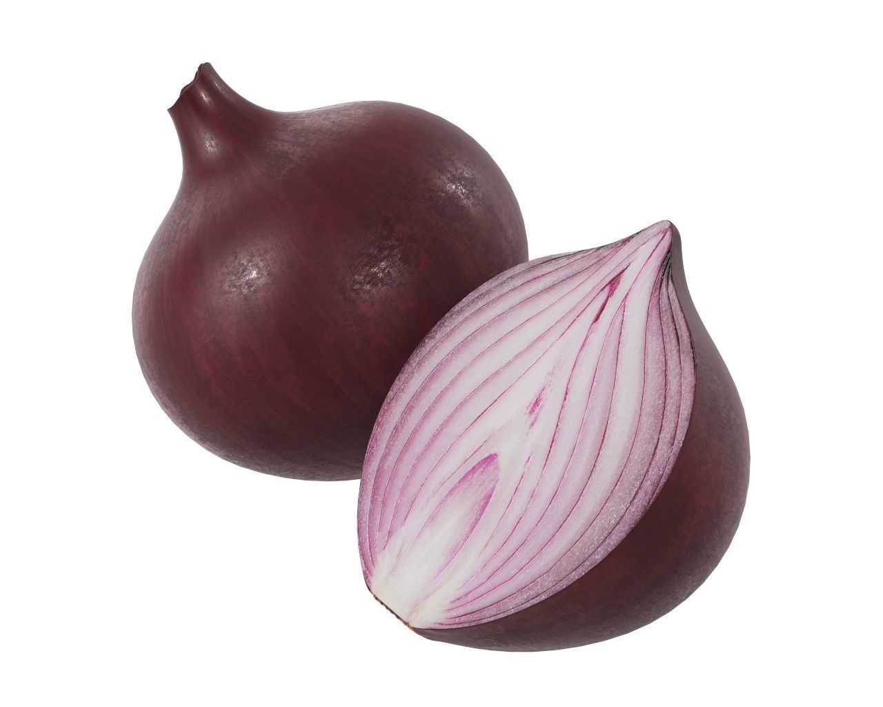 Onion 3D model_2