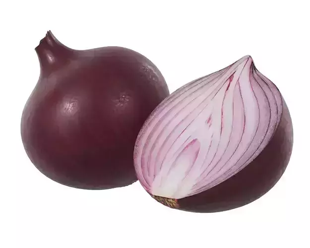 Onion 3D model