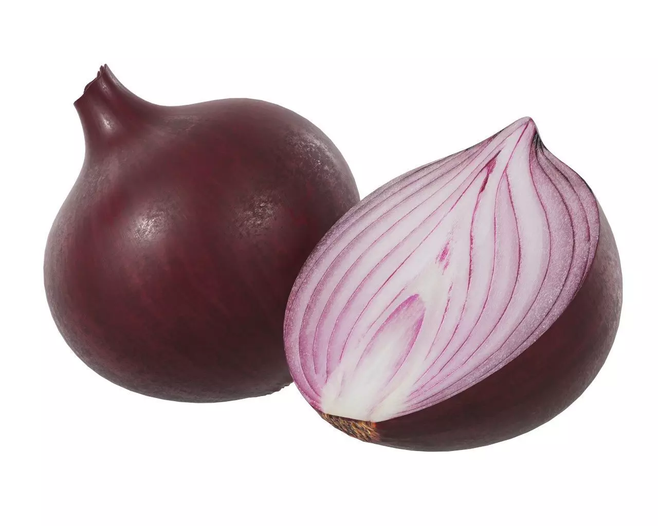 Onion 3D model_0