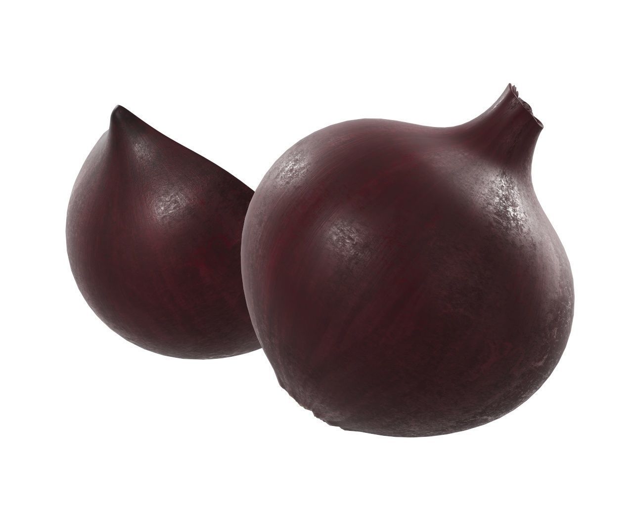 Onion 3D model_4