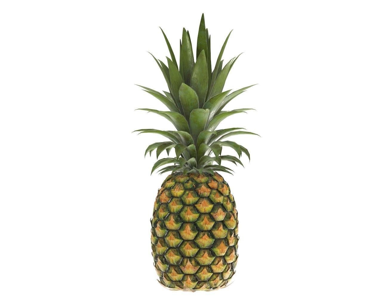 Pineapple 3D model_2