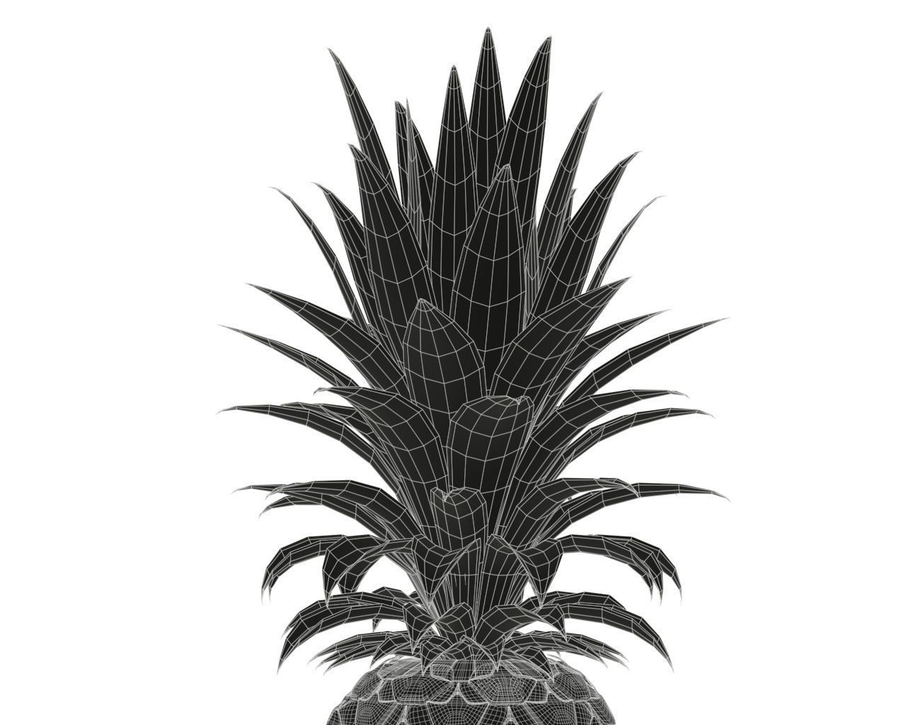 Pineapple 3D model_7