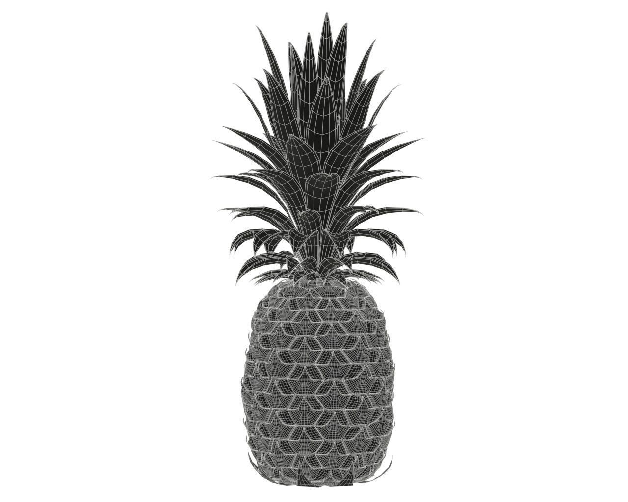 Pineapple 3D model_5