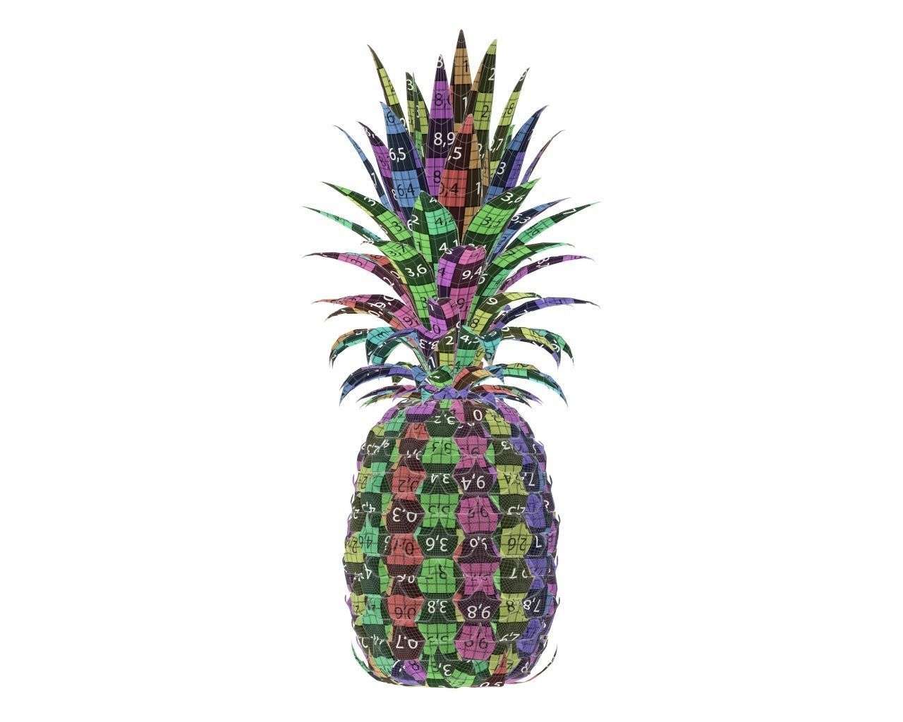 Pineapple 3D model_8