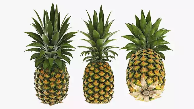 Pineapple