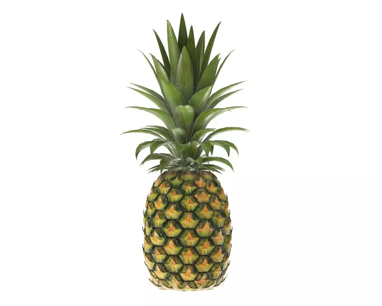 Pineapple 3D model_0