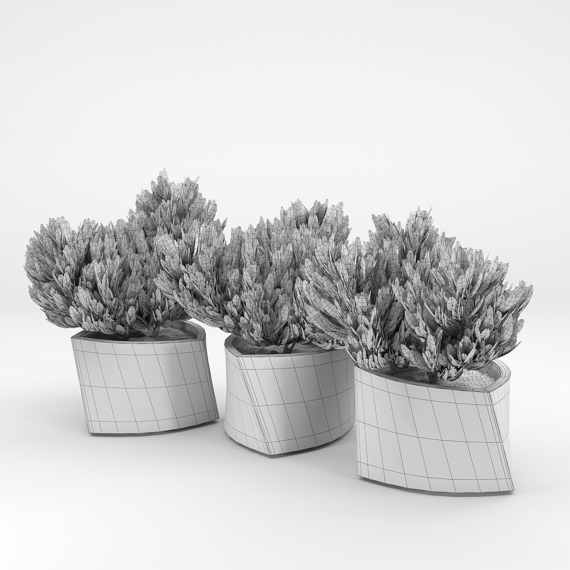 BILBAO Thuja 3D model_5