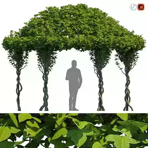 Gazebo Greenery 3D model