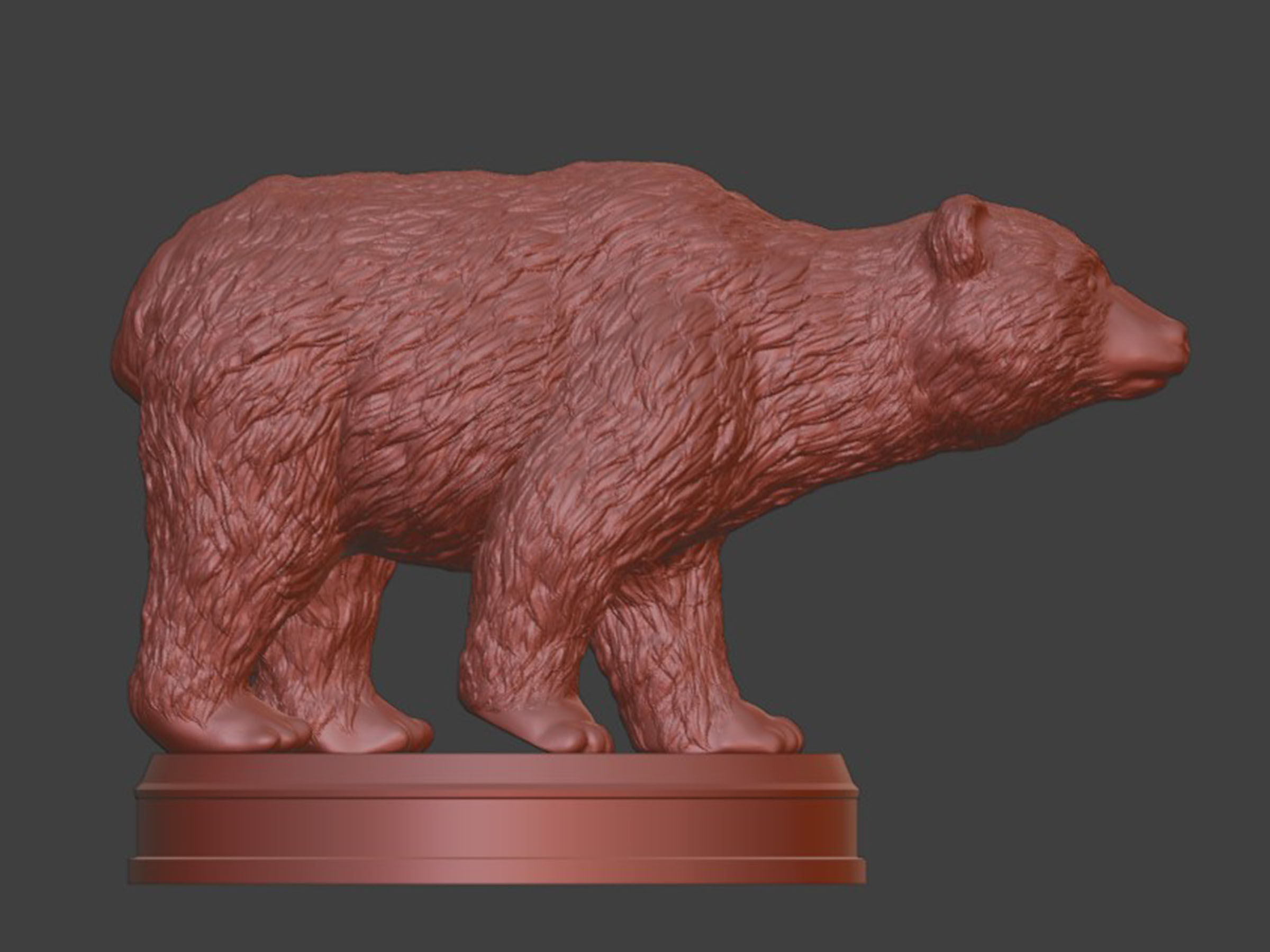 Realistic Furry Bear 3D print model_6
