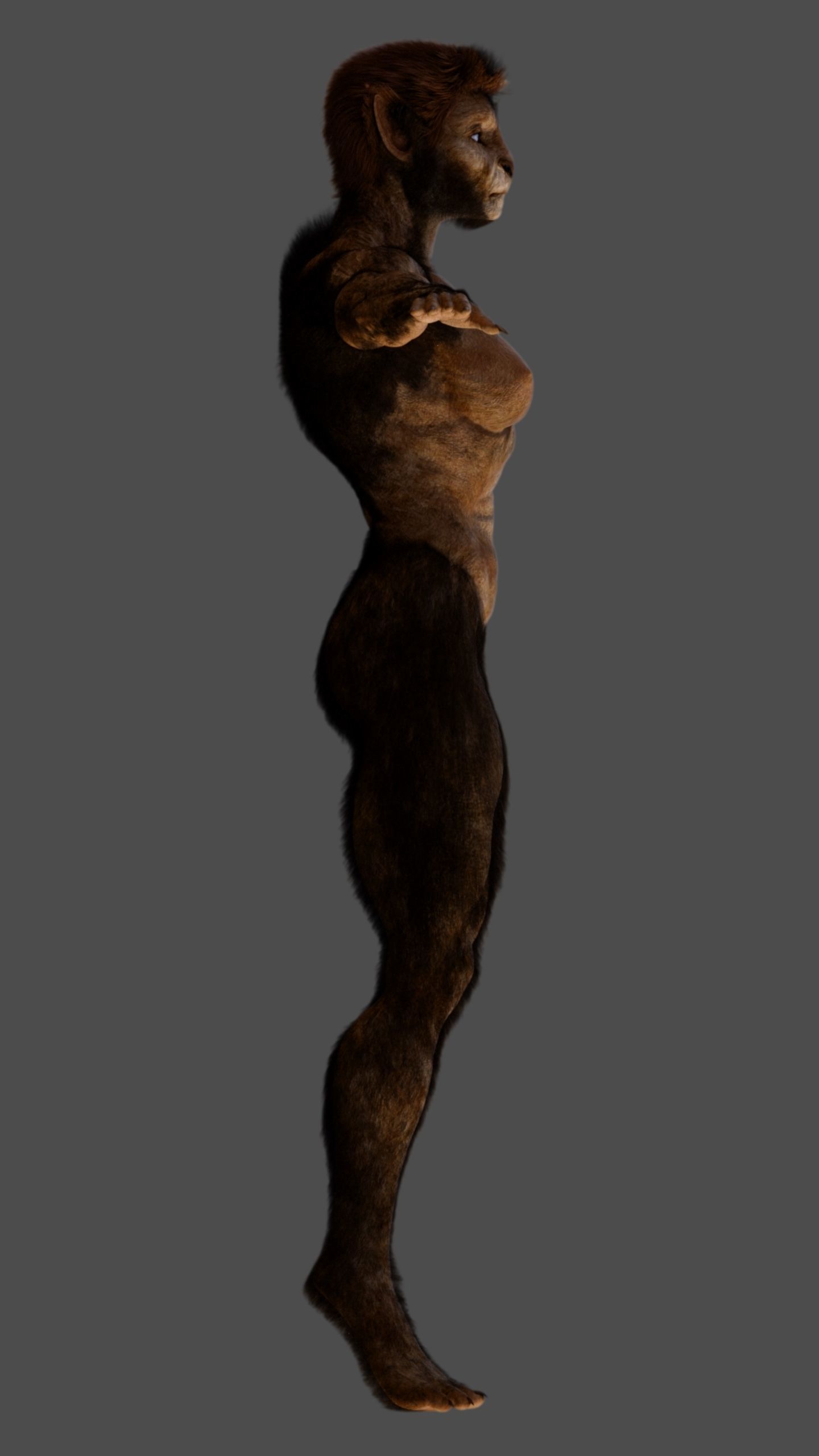 Wolfsbane - Female Beast 3D model_12