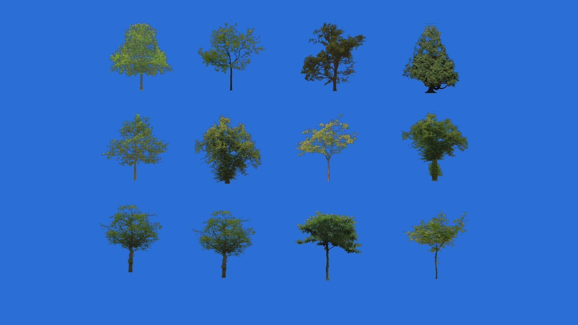 Texture Low poly tree different trees VR / AR / low-poly | CGTrader