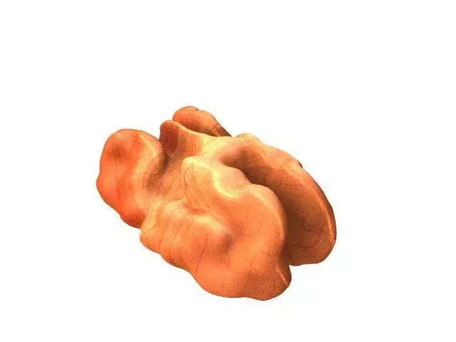 Walnut Low-poly 3D model_0