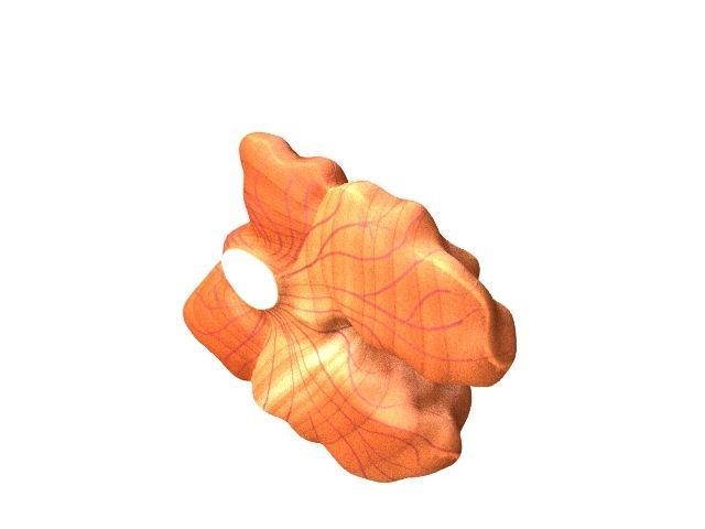 Walnut Low-poly 3D model_3
