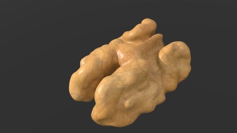 Walnut Low-poly 3D model_6