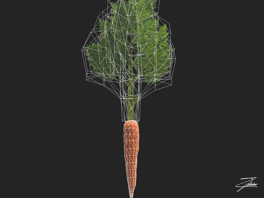 Carrot Low-poly 3D model_7