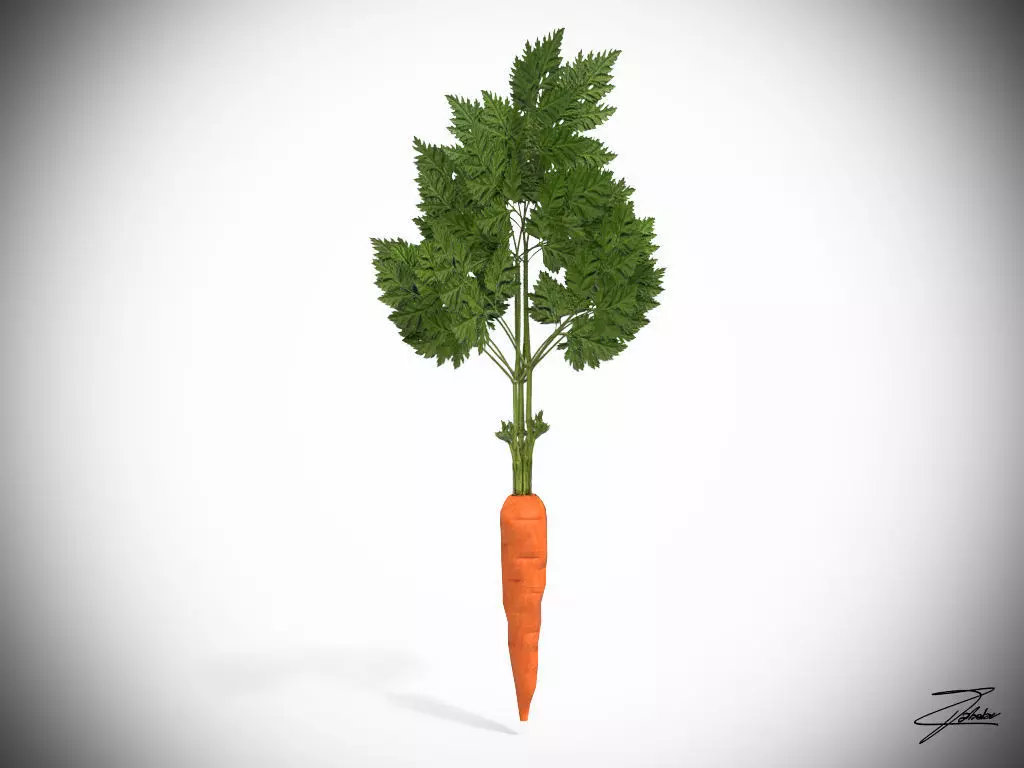Carrot Low-poly 3D model_0