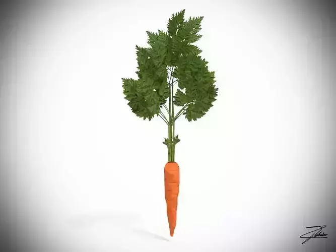 Carrot Low-poly 3D model