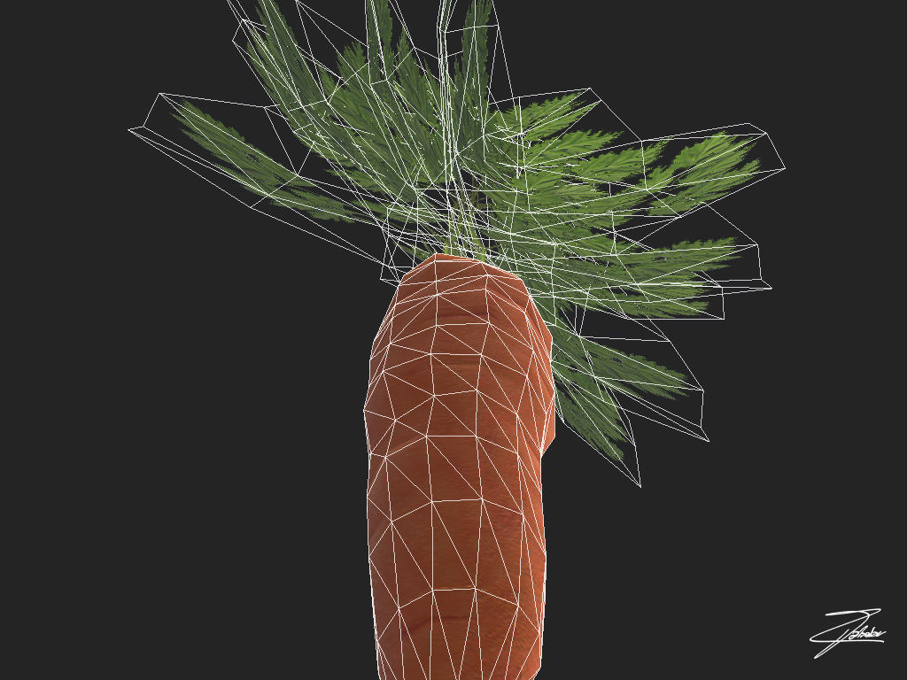 Carrot Low-poly 3D model_8