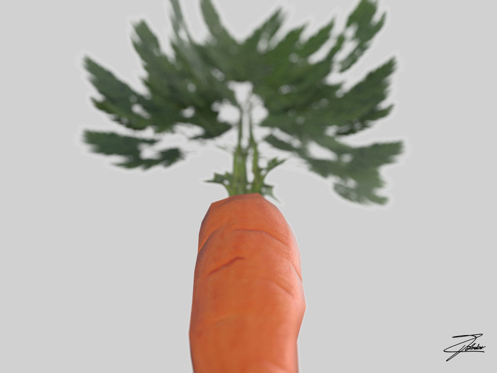 Carrot Low-poly 3D model_6