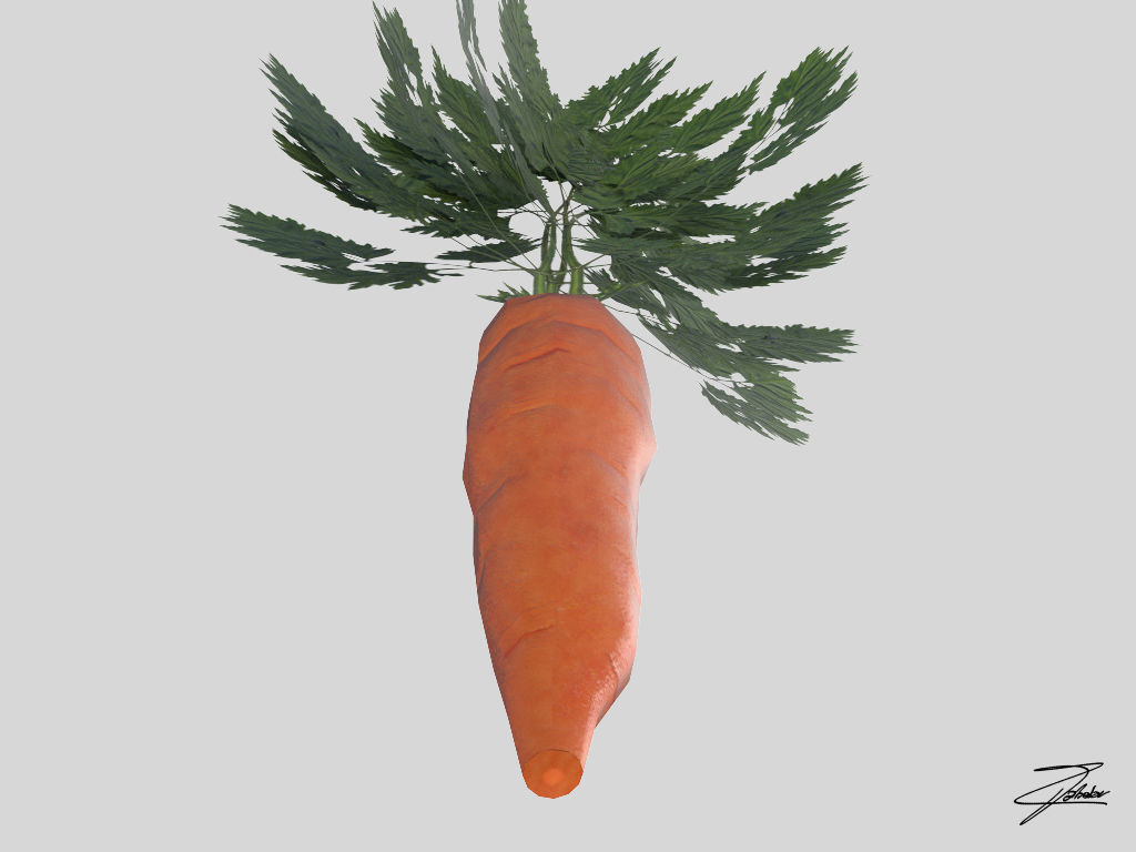 Carrot Low-poly 3D model_5