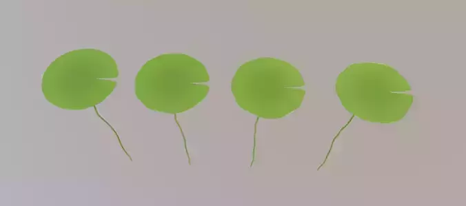 Lotus Leaf 3D model