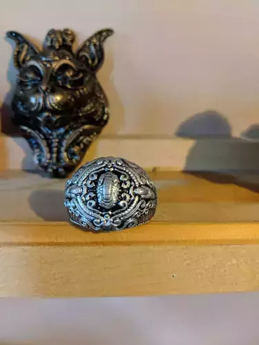 Decorative ring and wall plaque  3D print model