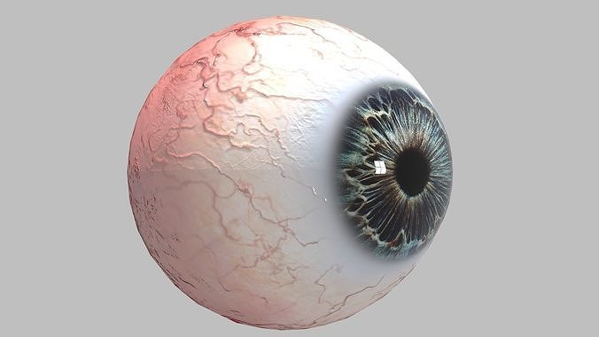 Photo-realistic Eye Low-poly 3D model