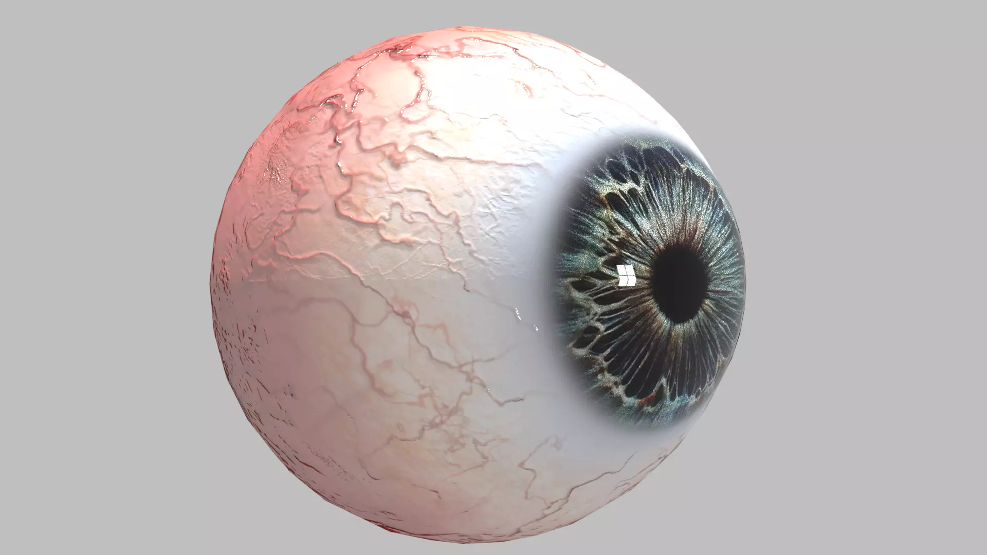 Photo-realistic Eye Low-poly 3D model_0