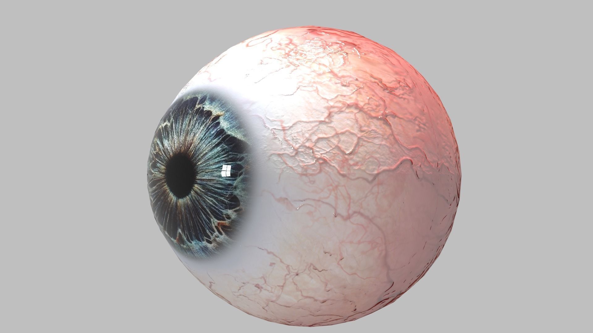 Photo-realistic Eye Low-poly 3D model_5
