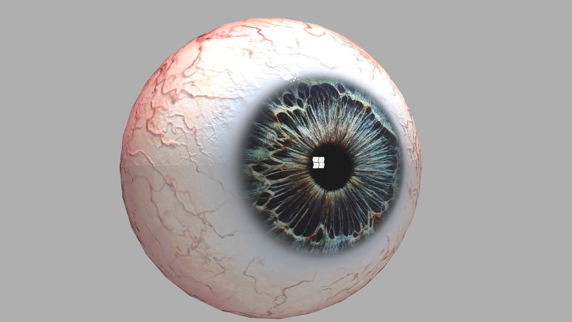 Photo-realistic Eye Low-poly 3D model_4