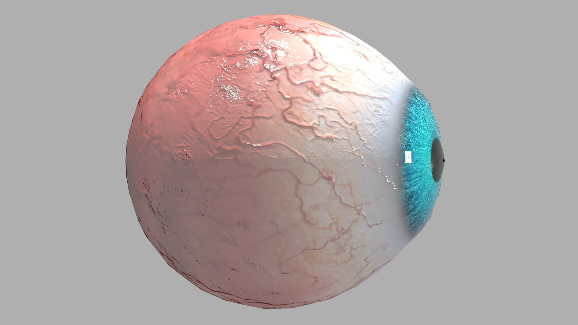 Photo-realistic Eye Low-poly 3D model_3