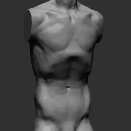 Male Torso v2