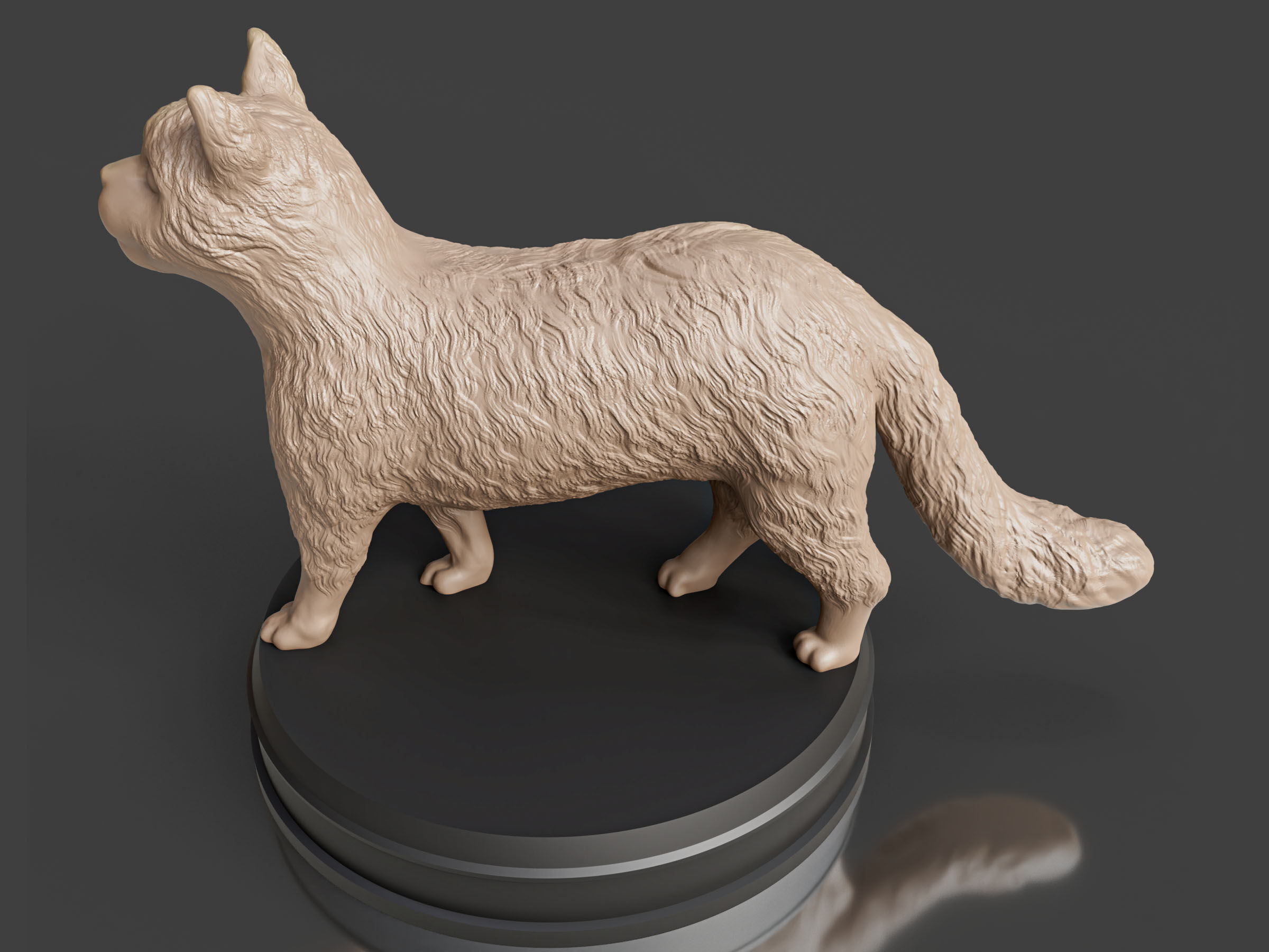 Realistic Fluffy Cat 3D print model_3