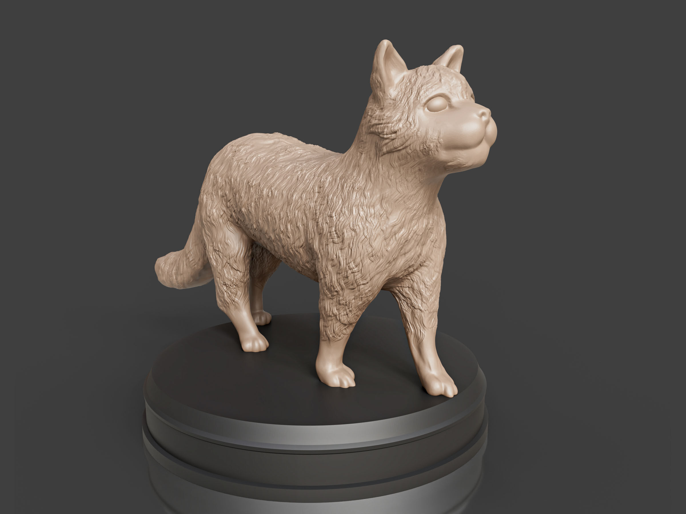 Realistic Fluffy Cat 3D print model_1